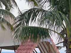 -西涌国际滨海旅游区