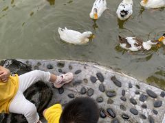 -西安市长乐公园