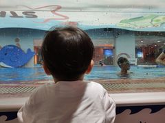 -蓝旗儿童游泳俱乐部(北国中心)