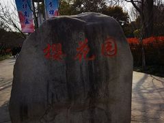 -高东镇樱花园