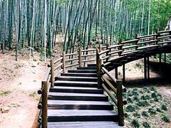 -天目湖山水园