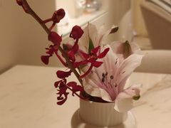 -théATRE 茶聚场(王府中環店)