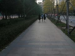 -东北大学(南湖校区)