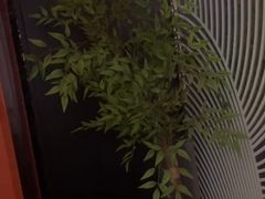 -华夏良子·足道SPA艾灸(金皇大厦店)
