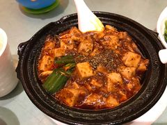 -陈麻婆豆腐总店