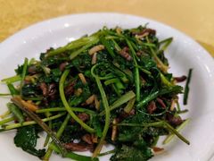 香菜牛肉丝-陈麻婆豆腐(春熙店)