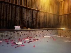 -春晖园度假酒店温泉