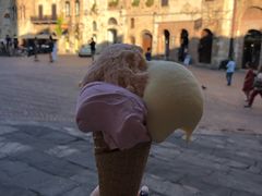 -Gelateria Dondoli