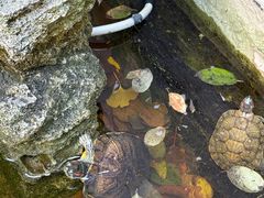 -后海16号·北京私房菜