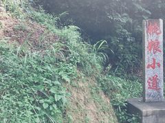 -井冈山风景名胜区-黄洋界