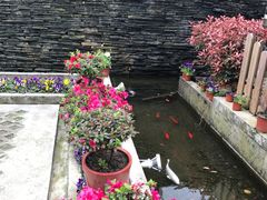 -老洋房花园饭店(绍兴路店)