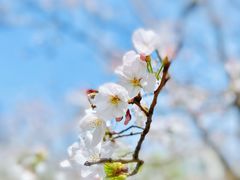 -西北湖绿化广场