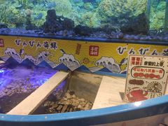 -喜碧海鲜·二十年本土海鲜老字号(上排店)