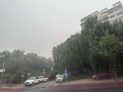 -皇家御河游(紫御湾码头)