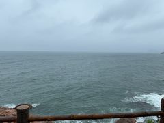 -广东惠东海龟国家级自然保护区