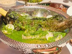 -狮拾久·现代新加坡料理(福田COCO Park店)