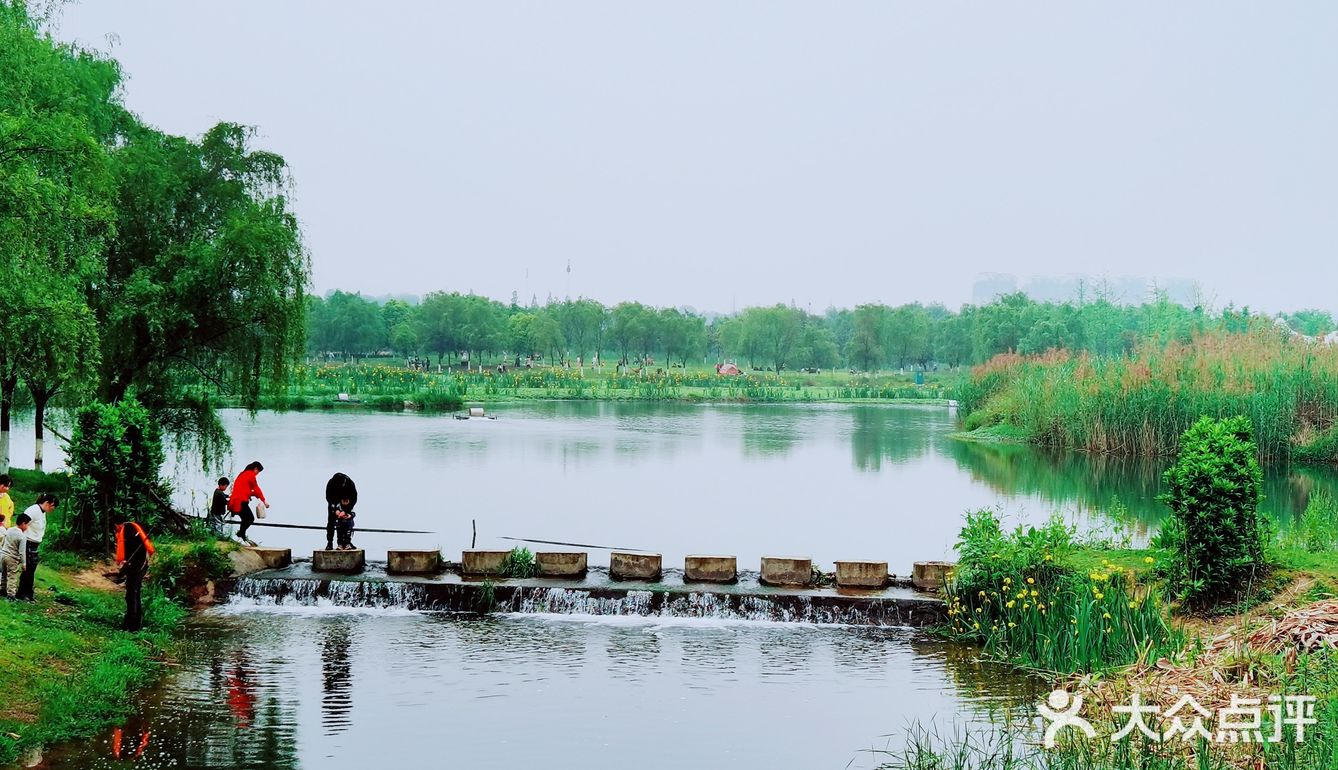 春天怎可不出去野餐煮茶呢？