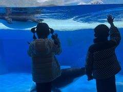 -海合安成都极地海洋公园