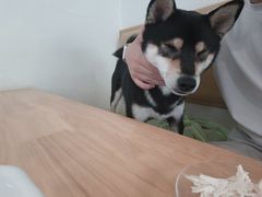 -柴の食堂·日式家庭料理·熊之肆(大学路店)