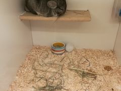 -龙猫仔乐园(惠福东路店)