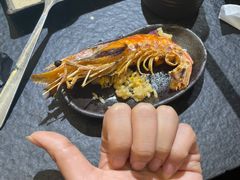 -炭虎烤肉(桂林路店)