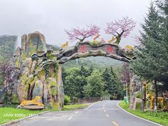 -横道河子东北虎林园