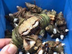 -张家卫·阳江菜·小海鲜(肥婆湾桥店)