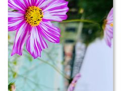 -怀来官厅水库