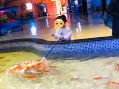 -烟台海昌鲸鲨海洋公园