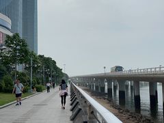 -演武大桥观景平台