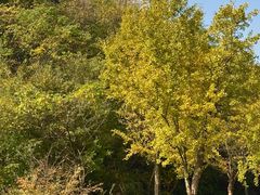 -东钱湖旅游度假区