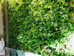 -The Rug Cafe(王府中环店)