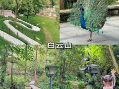 -广州雕塑公园