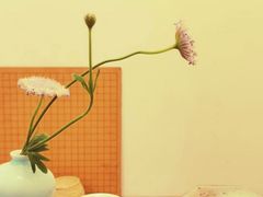 -隆德堂青瓷艺术·茶馆(故宫店)