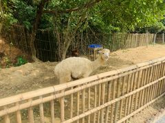 -李小龙乐园(顺德均安店)