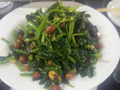 -老黑板筋(顺义总店)
