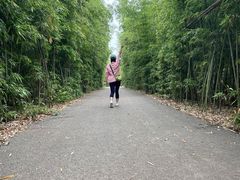 -武汉紫薇都市田园