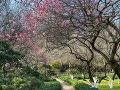 -杭州植物园