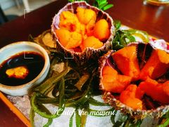 -普朗姆生蚝牛排馆 The Plump Oyster(成都摩方购物中心店)