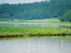 -美的鹭湖森林度假区