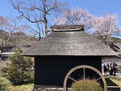 -富士山吉田線五合目