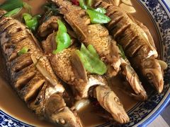 -大队长大灶鹅