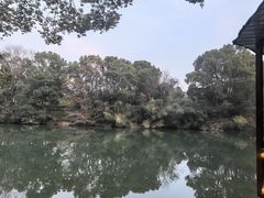 -张鸟园农家乐(张鸟园店)
