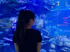 -左海海底世界