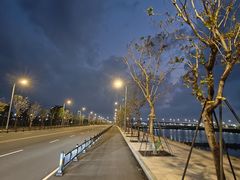 -大湾区中央湿地公园