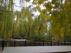 -玲珑塔公园