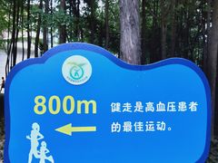 -西安市长乐公园