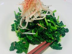 火丝银芽豆苗-江南雅厨(李公堤店)