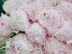 -BEAST野兽派(上海浦东嘉里城店)