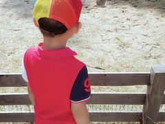 -前小桔亲子创意农场·草莓采摘·露营烧烤